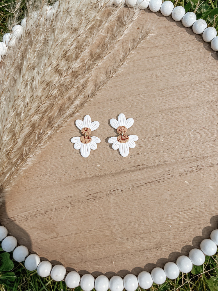 Forget Me Not Daisies